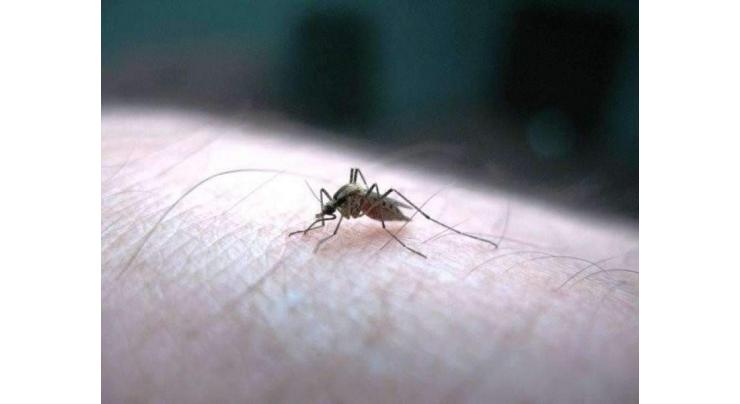 Doctors appointed as sector incharge for dengue surveillance in, around Nishtar

