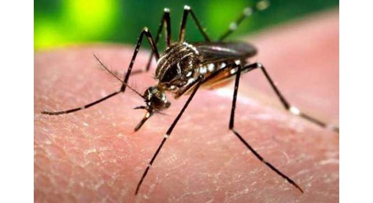 DRTA directed to take steps for eradication of dengue
