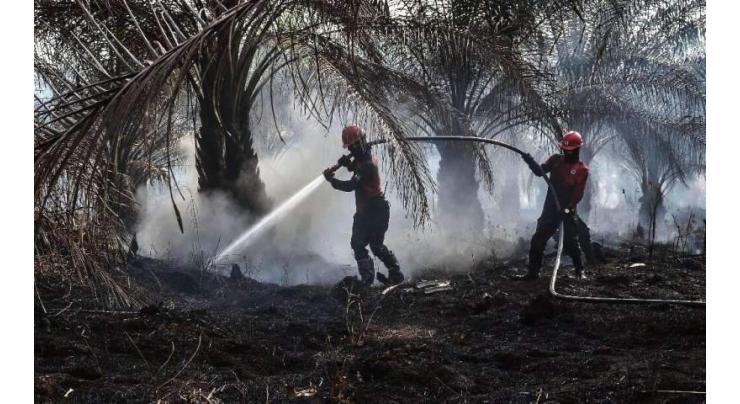 Burning issue: Indonesia fires put palm oil under scrutiny
