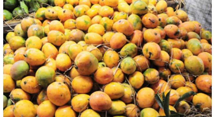 Mango exports increases by 42% in 2019
