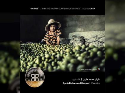 جائزة حمدان بن محمد للتصوير تنشر الصور الفائزة بمسابقة &quot;الحصاد&quot;