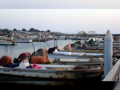 &quot; المناخ والبيئة&quot;: تطوير 24 ميناء للصيادين.. وحماية الثروة السمكية أولوية
