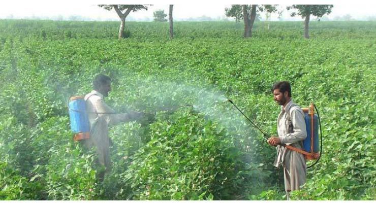 Farmers should cultivate mixed crops in fields in Faisalabad 