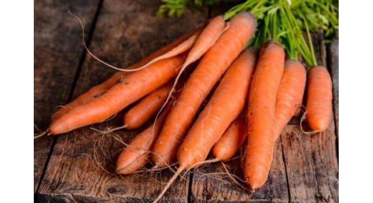 Carrot cultivation be complete this month: agri experts
