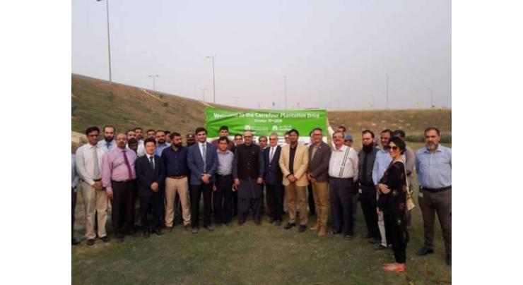 WWF, Carrefour joins hands for greener Lahore
