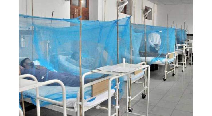 No dengue patients from Bahawalpur division so far: Director Health
