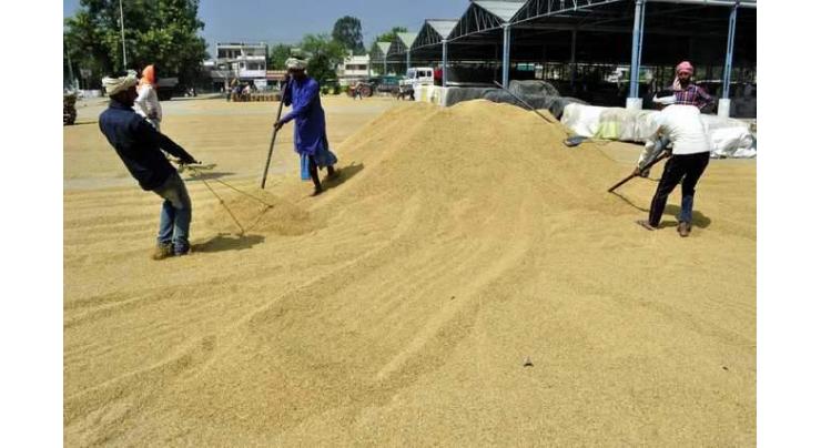 Farmers asked to submit registration form for procurement of seeds by Oct 21
