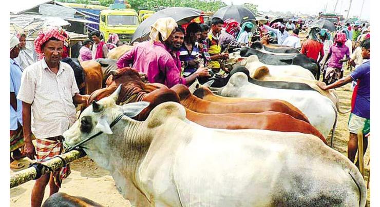 Cattle Market Management Company (CMMC) establish three new cattle markets
