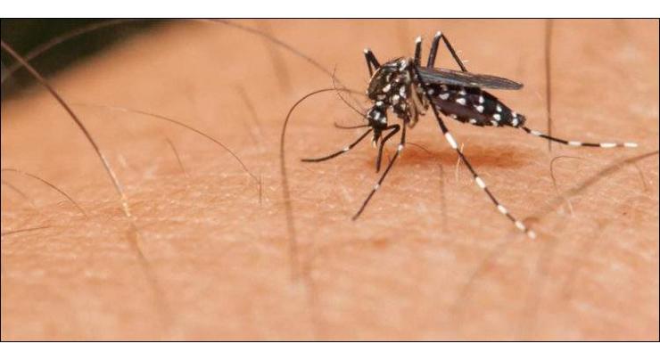 Remove stagnant rain water to prevent dengue spread: Health officer
