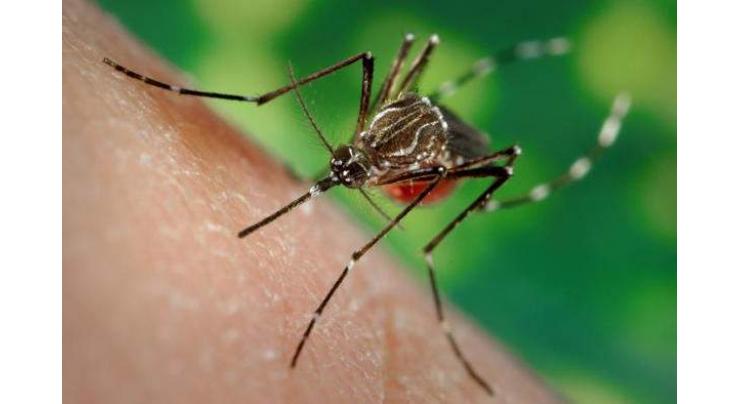 Efforts being made to end dengue: Health Deptt
