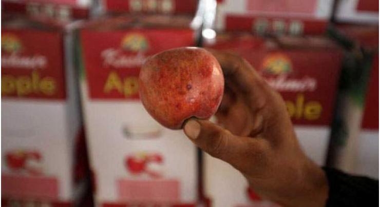 IOK apple growers say losses in millions of dollars
