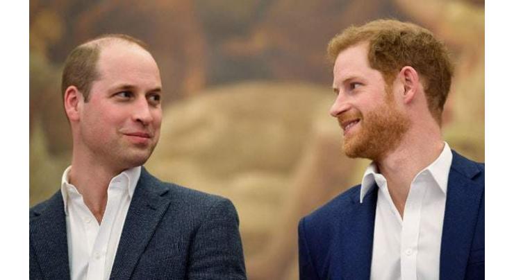 Prince Harry admits he and Prince William are  on different paths'