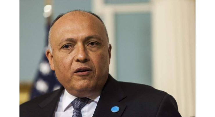 Competition in Africa Contributes to Continent's Development - Egyptian Foreign Minister