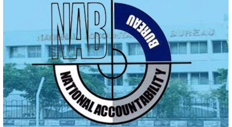 NAB forms six-member committee to address reservations of business community