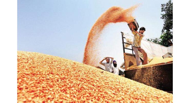 Govt provided full cost of sugarcane to farmers: Raja Basharat
