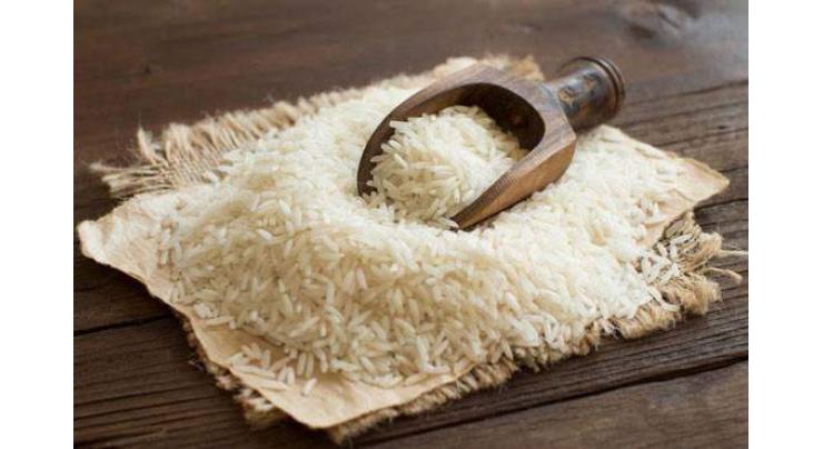 Rice exports increases 50.76%, reached to $470.584 million in first quarter of FY 2019-20
