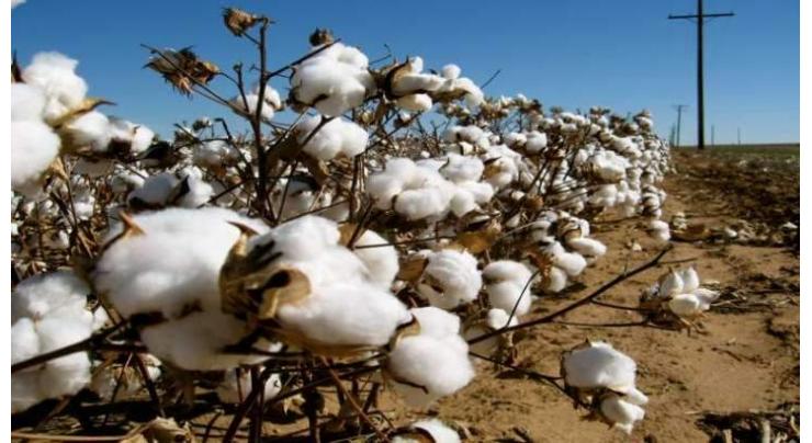 Spot rates of cotton (Crop 2019-20)
