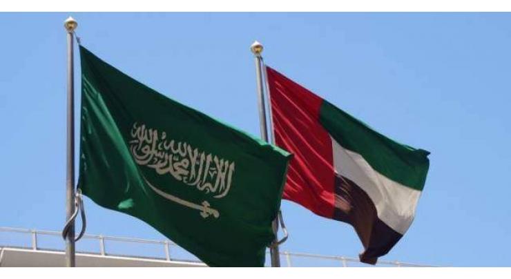 UAE, Saudi Arabia May Start Issuing Joint Tourist Visas - Economy Minister