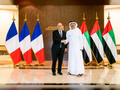 عبدالله بن زايد: فرنسا صديق وحليف للإمارات ونرتبط معاً بعلاقات استراتيجية