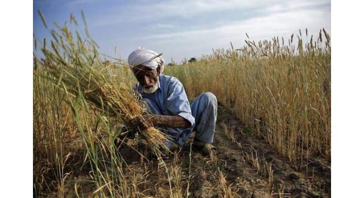 Interest-free loan cheques among 500 farmers distributed
