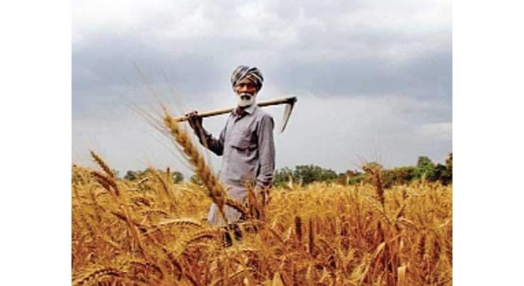 Kisan platform to help in overcoming exploitation of farmers
