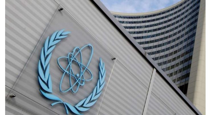Next IAEA Chief Capable of Preserving Verification Regime Under Iran Nuclear Deal - NGO