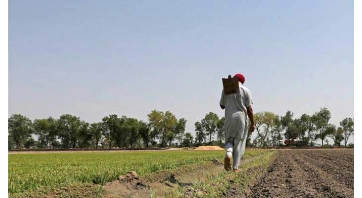 Farmers' platforms to be set up in 30 cities
