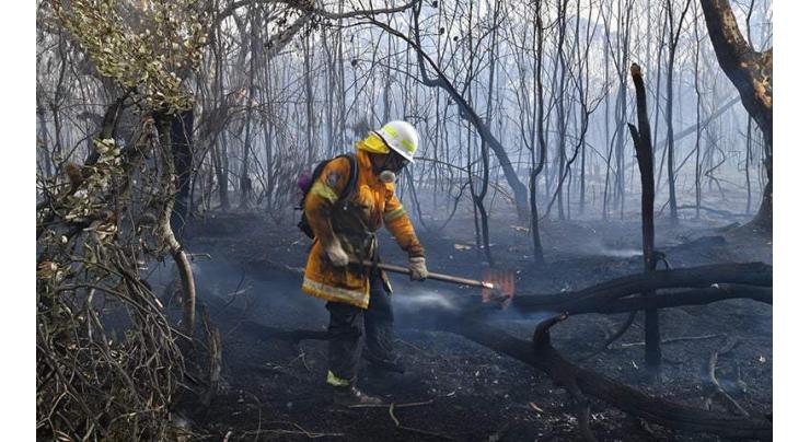 Australian bushfires hit Sydney suburbs
