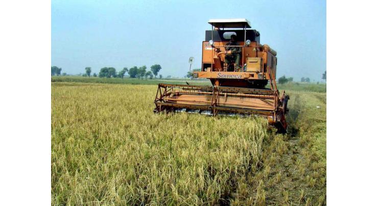 Punjab govt introducing model agriculture markets
