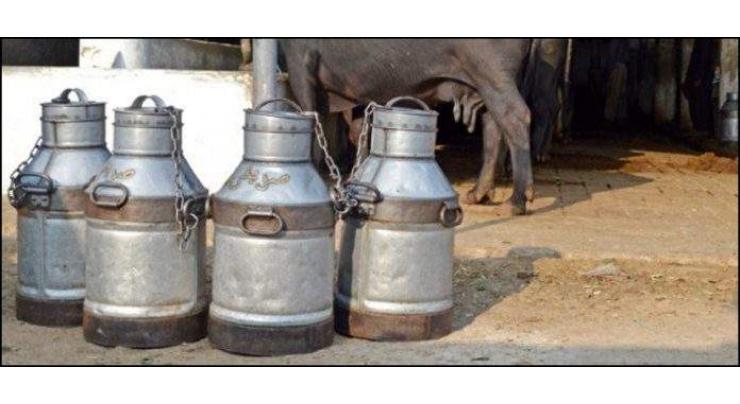 KP food authority discards 2000 kg contaminated milk
