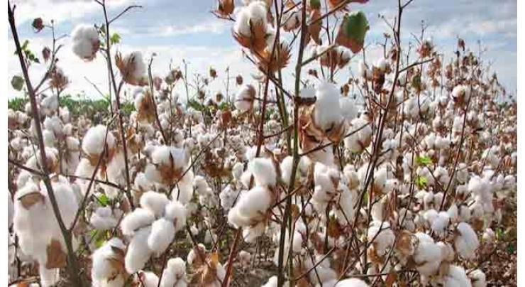 Spot rates of cotton (Crop 2019-20)
