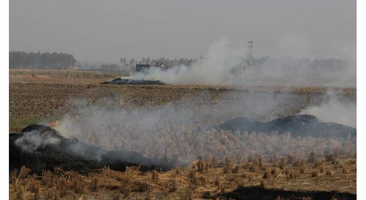 Farmers warned of action over burning crops remnants
