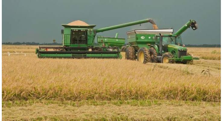 US, S. Korea Reach Annual Rice Export Deal Worth More Than $100Mln - Trade Representative