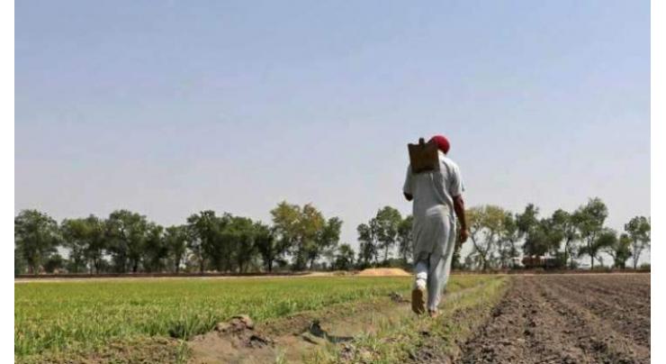 'Kissan Platforms' to be set up in Sialkot
