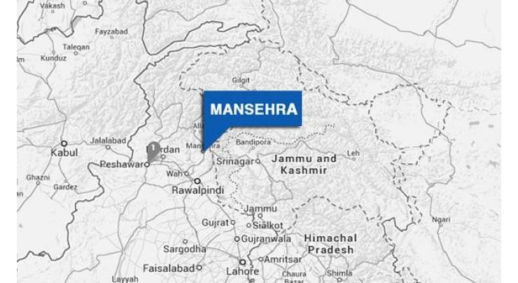 Mansehra -Thakot  to become operational by February next year
