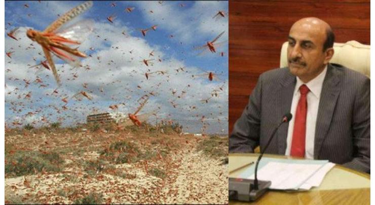 Sindh Minister for Agriculture hold meeting with officials regarding Locusts
