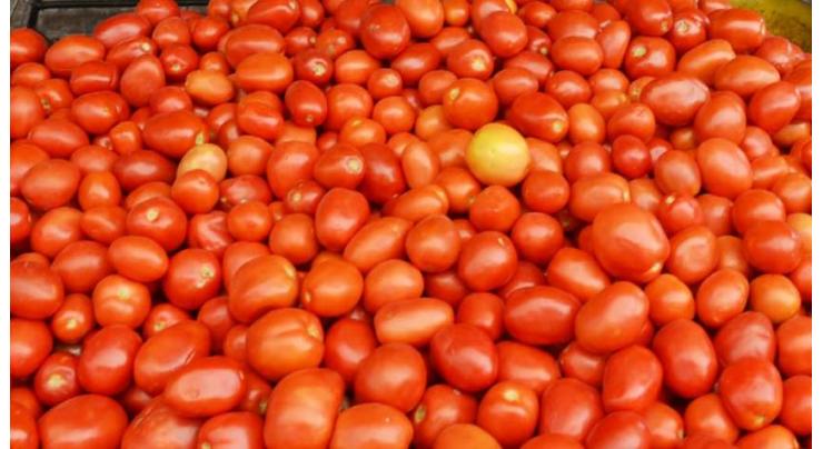 SAB demands banning on tomatoes and onions import
