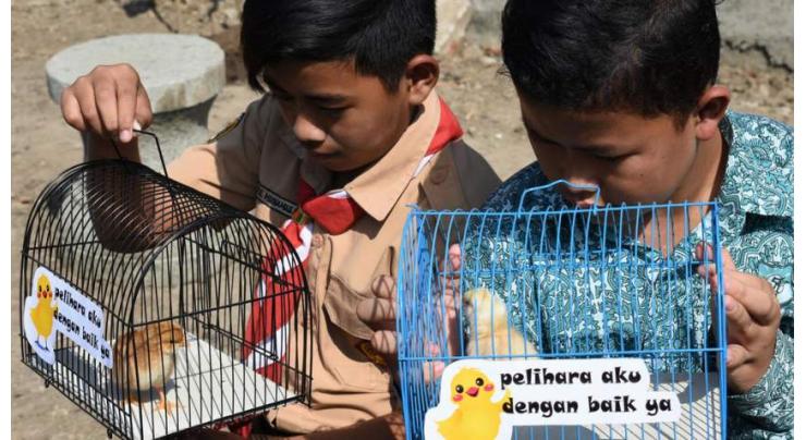 ChickTok: Indonesian kids given pets to wean them off smartphones
