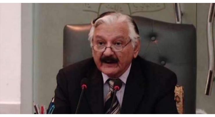 All political sectors will have to contribute in strengthening ECO: Sardar Raza