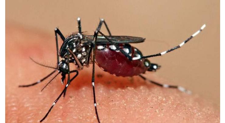 Karachi registers death of woman exposed to dengue shock syndrome
