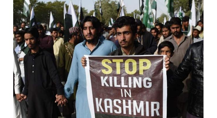 HR activists demo for Kashmiris' rights
