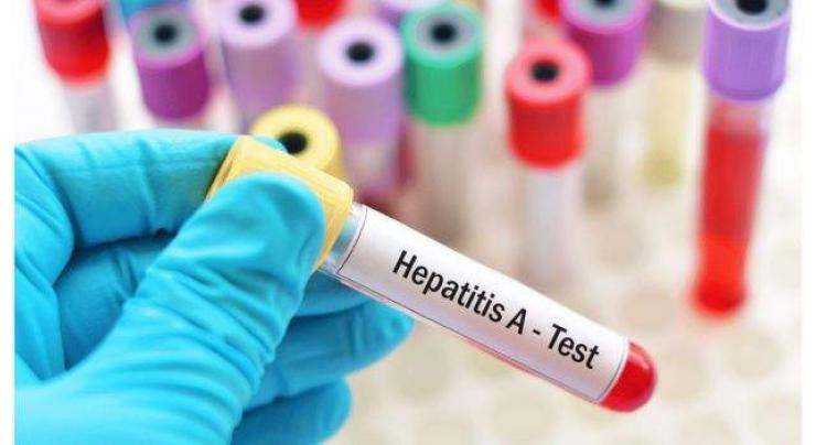 1379 Hepatitis cases surfaced during 11 months
