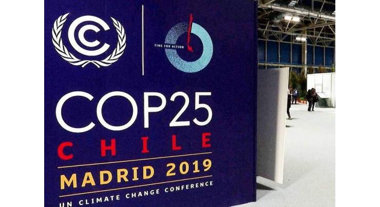 COP25 Participants in Madrid Call for More Ambitious Final Agreement - Coordinator