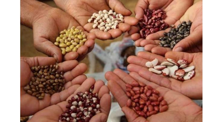 25 new seed varieties approved in Rawalpindi
