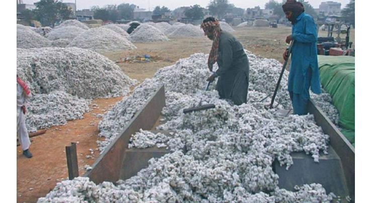 ECC allows withdrawal of duties on imported cotton from January 15
