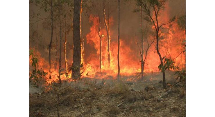&#039;Significant fears&#039; over 17 missing in Australian bushfires