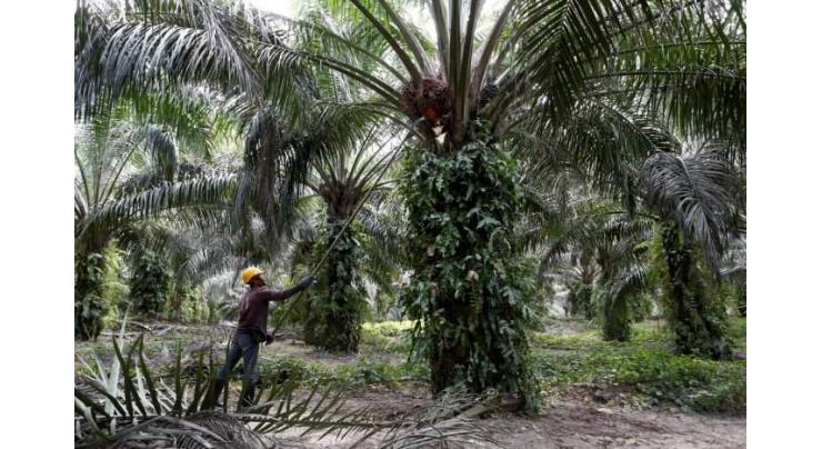 Indian, Malaysian ministers likely to discuss palm oil row on sidelines of WTO moot