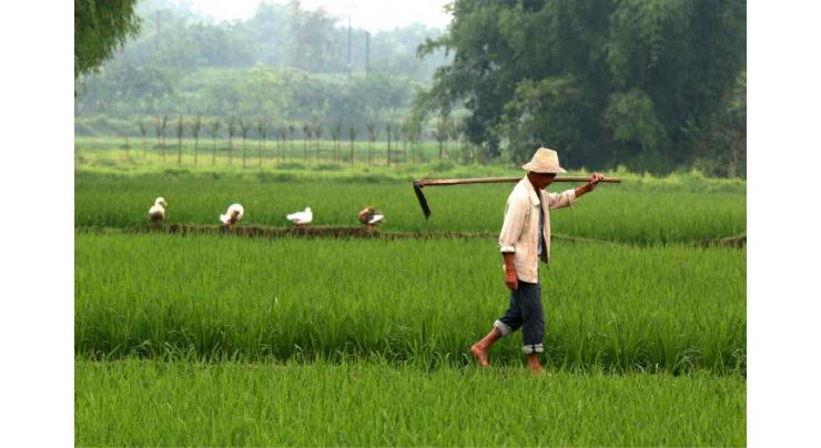 Chinese issues plan for digital agricultural, rural development
