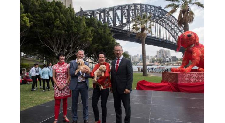 Sydney gears up for biggest Lunar New Year celebrations outside Asia
