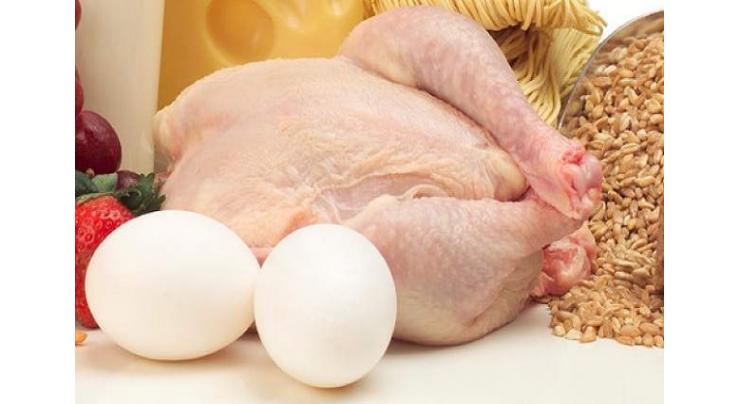 Chicken demand increases in chilly weather
